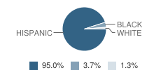 Grant Elementary School Student Race Distribution