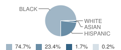 Mckinley Elementary School Student Race Distribution