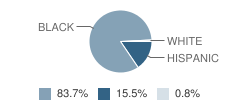 Thurgood Marshall Elementary School Student Race Distribution