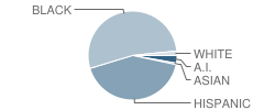 Jefferson Elementary School Student Race Distribution