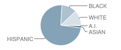 Lincoln Middle School Student Race Distribution