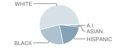 Geo T Wilkins Jr High School Student Race Distribution