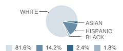 S E Gross Middle School Student Race Distribution