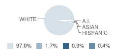 Cambridge Community Grade School Student Race Distribution