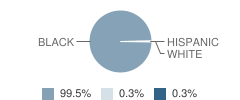 Holmes Elementary School Student Race Distribution