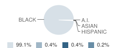 Howe Elementary School Student Race Distribution