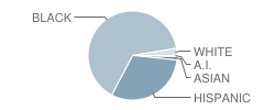 Irving Elementary School Student Race Distribution