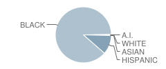 Mckay Elementary School Student Race Distribution