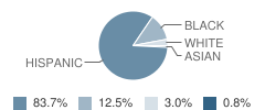 Moos Elementary School Student Race Distribution