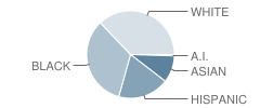 Ogden Elementary School Student Race Distribution