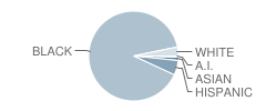 Owen Elementary Scholastic Academy Student Race Distribution