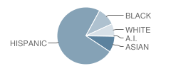 Roosevelt High School Student Race Distribution