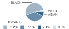 Stewart Elementary School Student Race Distribution