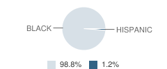 Wentworth Elementary School Student Race Distribution