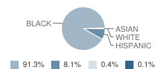 Young Elementary School Student Race Distribution