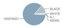 Yates Elementary School Student Race Distribution