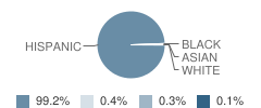 Ortiz De Dominguez Elementary School Student Race Distribution
