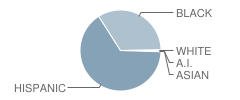 West Park Elementary Academy Student Race Distribution