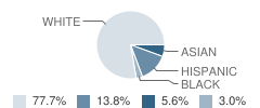 Stock Elementary School Student Race Distribution