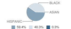 Jefferson Elementary School Student Race Distribution