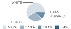 Northeast Elementary Magnet School Student Race Distribution