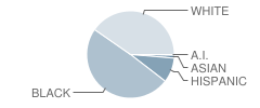 East Park Elementary School Student Race Distribution