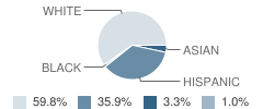 Forest Elementary School Student Race Distribution