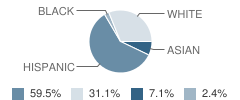 South Elementary School Student Race Distribution