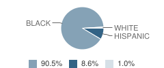 Early Childhood Center School Student Race Distribution