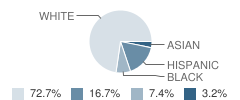 El Sierra Elementary School Student Race Distribution