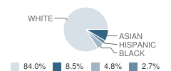 Dunlap High School Student Race Distribution