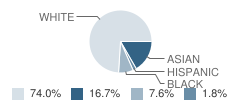 Ridgeview Elementary School Student Race Distribution