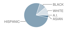 Hillcrest Elementary School Student Race Distribution