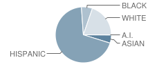 Larsen Middle School Student Race Distribution