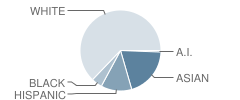 Hawk Hollow Elementary School Student Race Distribution