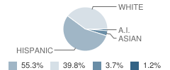 Adm Richard E Byrd Elementary School Student Race Distribution