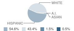 Salt Creek Elementary School Student Race Distribution