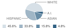 Friendship Jr High School Student Race Distribution