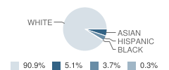 Edison Elementary School Student Race Distribution