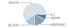 Dewey Elementary School Student Race Distribution