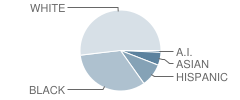 Lincoln Elementary School Student Race Distribution