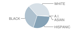 Northeast Elementary School Student Race Distribution