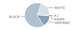 Serena Hills Elementary School Student Race Distribution