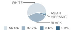 Western Avenue Elementary School Student Race Distribution