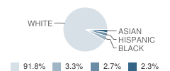 Grand Prairie Elementary School Student Race Distribution