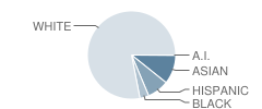 Fremont Middle School Student Race Distribution