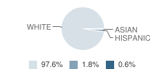 Geneseo Middle School Student Race Distribution