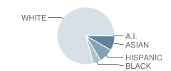 Hadley Junior High School Student Race Distribution