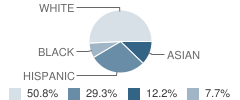 Meadowview Elementary School Student Race Distribution