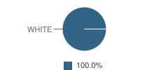 Calhoun Elementary / Jr High School Student Race Distribution